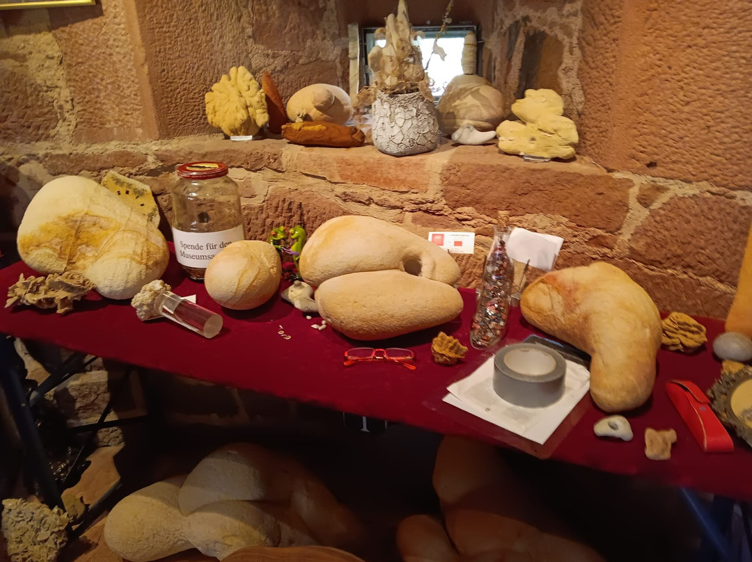 Sandrosenmuseum Buedingen景点图片