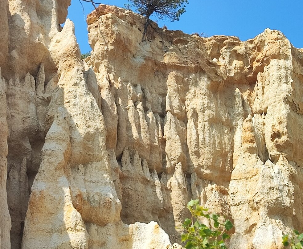 Orgues d'Ille Sur Tet景点图片
