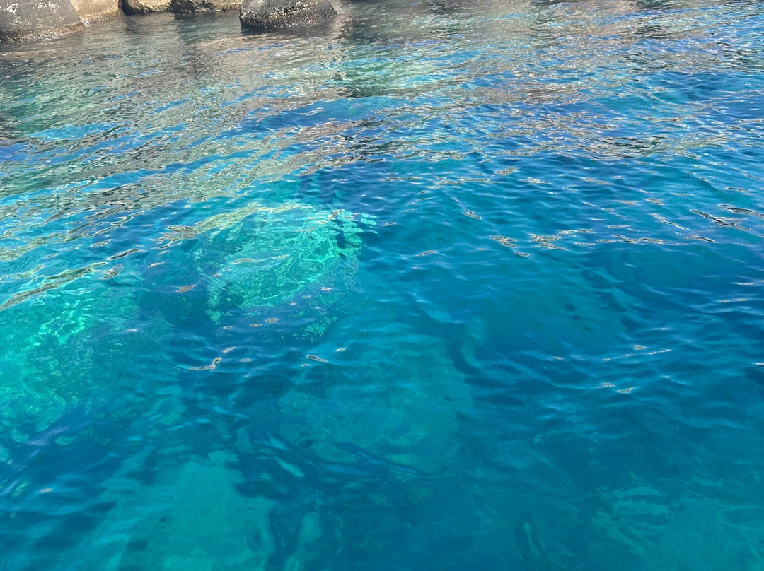 Seasalento景点图片