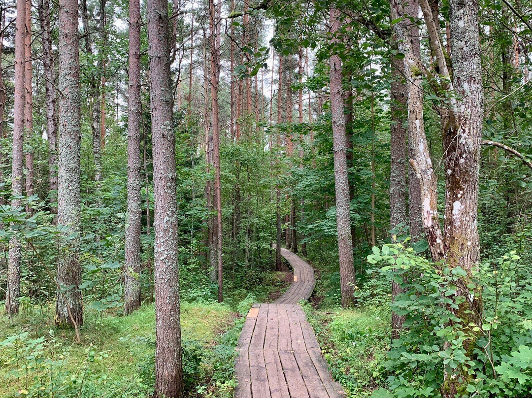 Nature Study Trail in Paaskula Bog景点图片