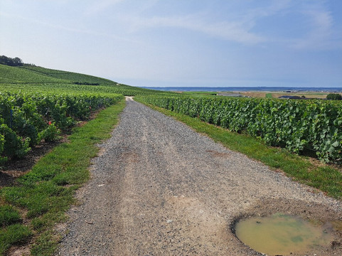 L'Echappée Champenoise-兰斯必去景点