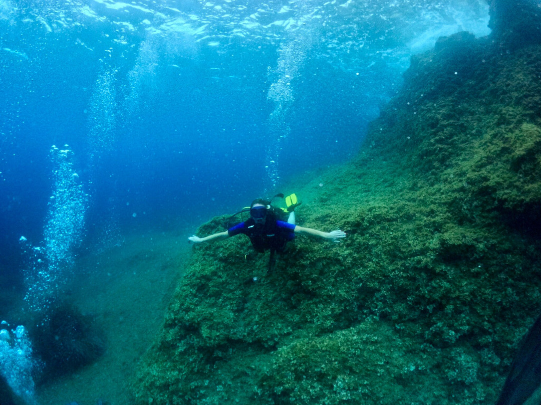 Barracuda diving-Nerano必去景点