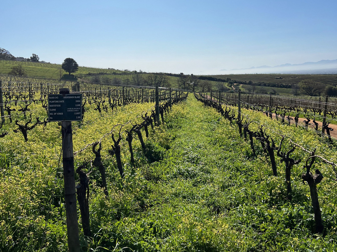 Klein Constantia-康士坦提亚必去景点