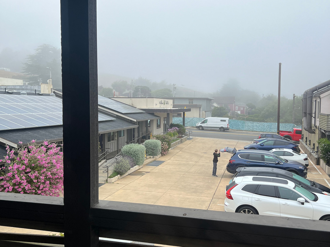 Wildflower Boutique Motel主图