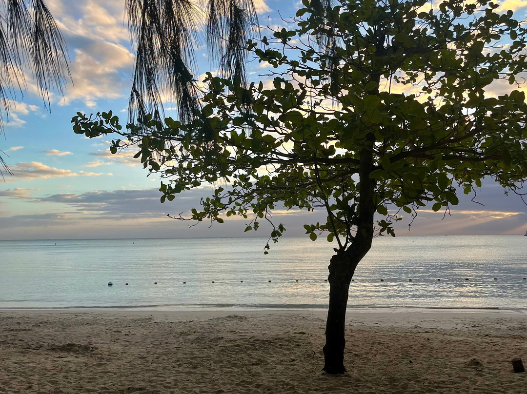 Taxi Mauritius Tours-大湾必去景点