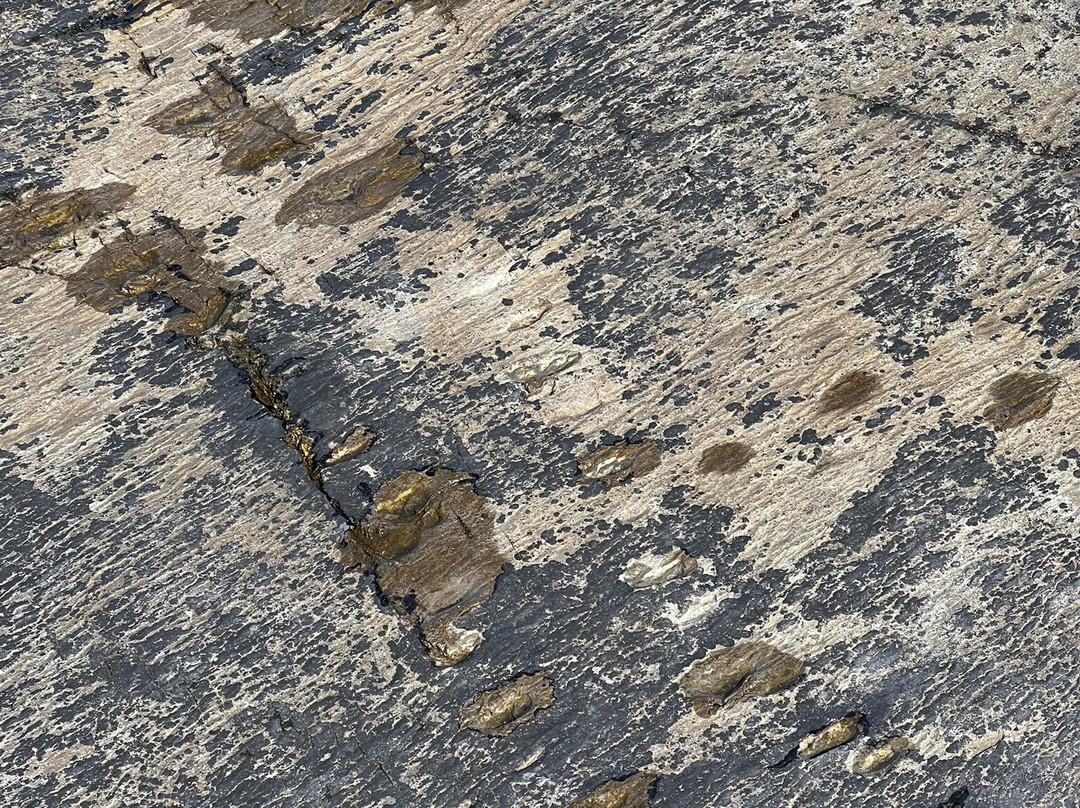 Tetrapod Trackpad-Valentia Island必去景点