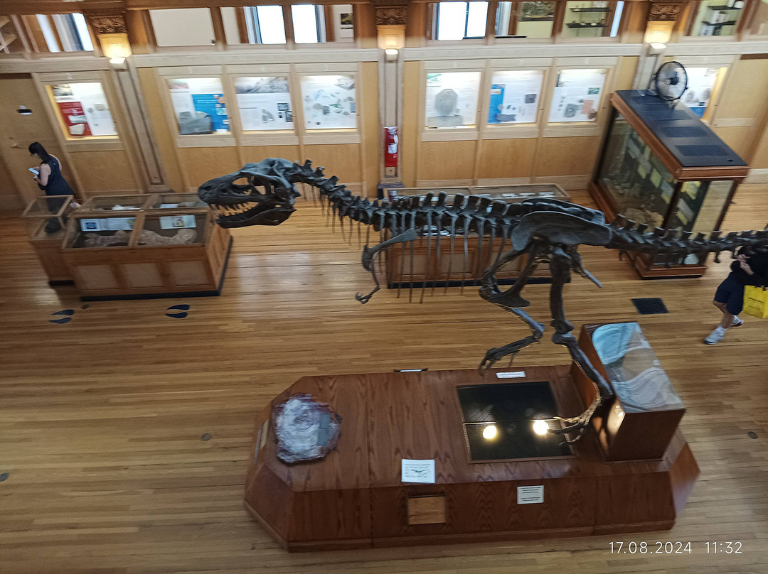 Musée Redpath-蒙特利尔必去景点