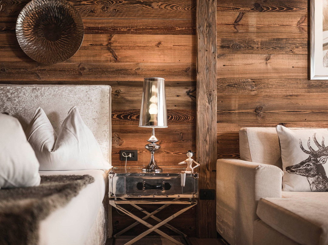 Alpine Boutique Villa Gabriela主图
