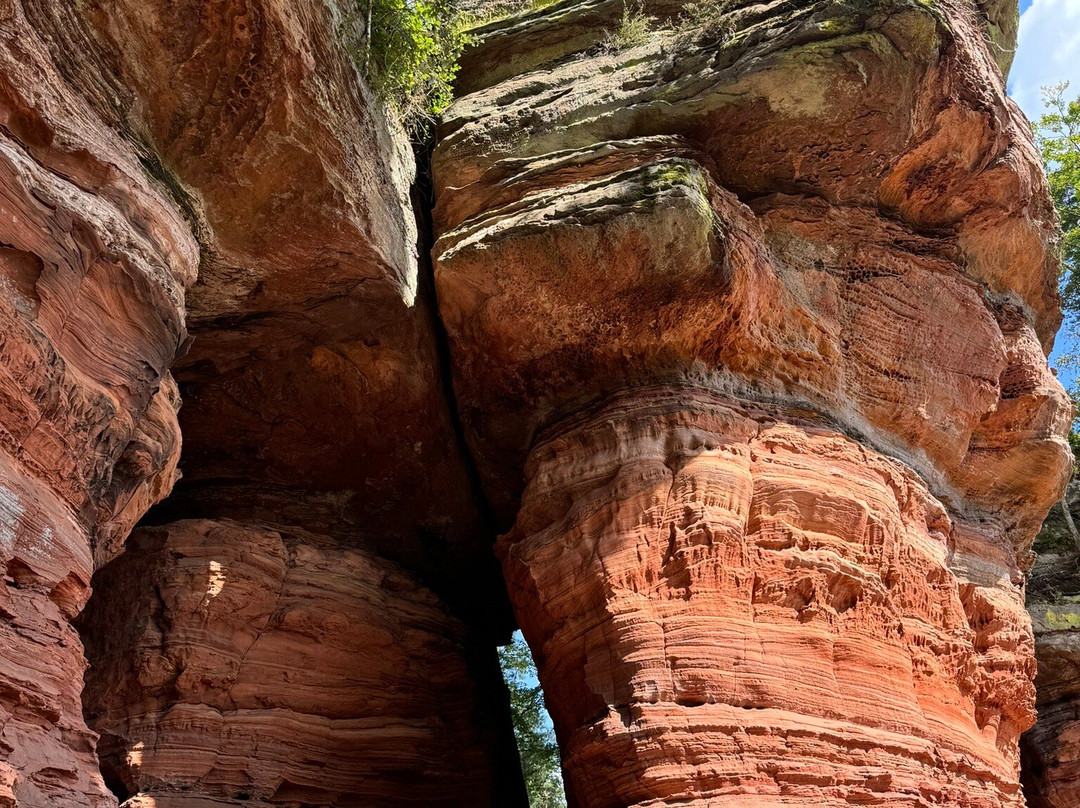 Altschlossfelsen-Eppenbrunn必去景点