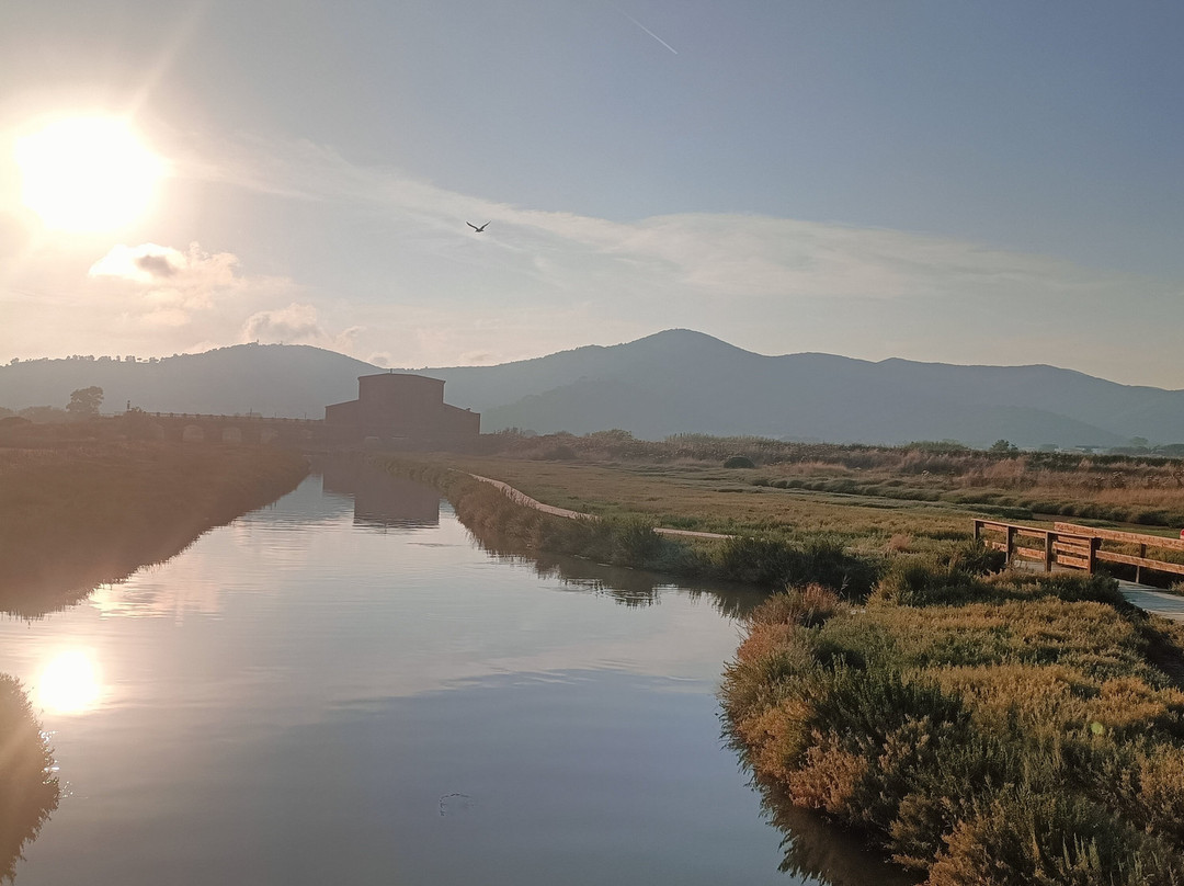 Riserva Naturale Diaccia Botrona景点图片