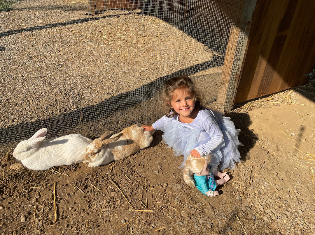 Woodstock Farm Sanctuary景点图片