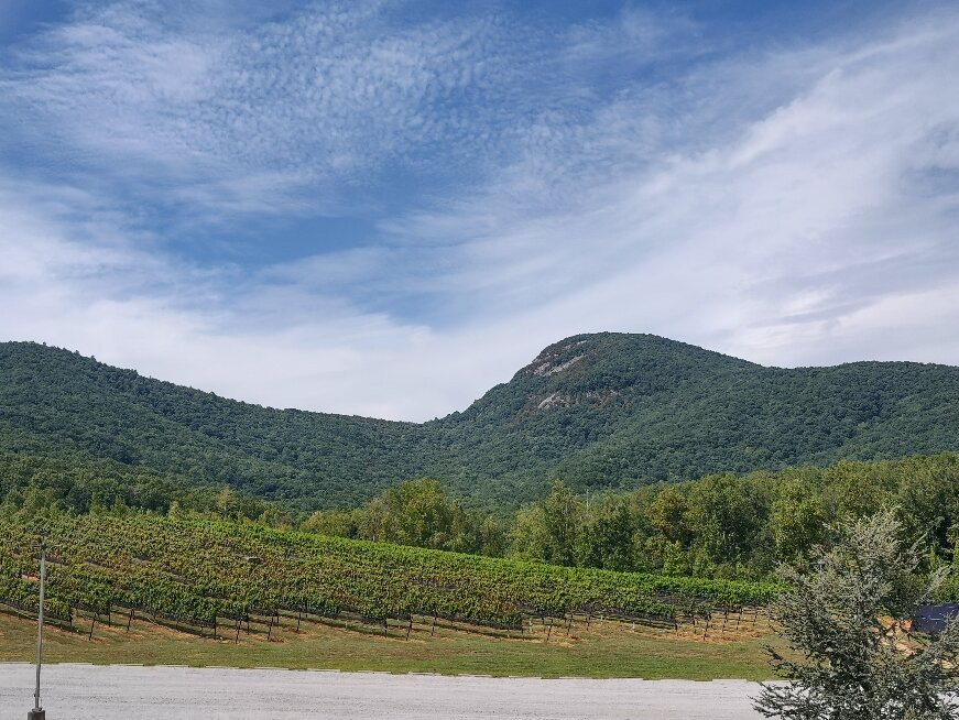 Yonah Mountain Vineyards景点图片