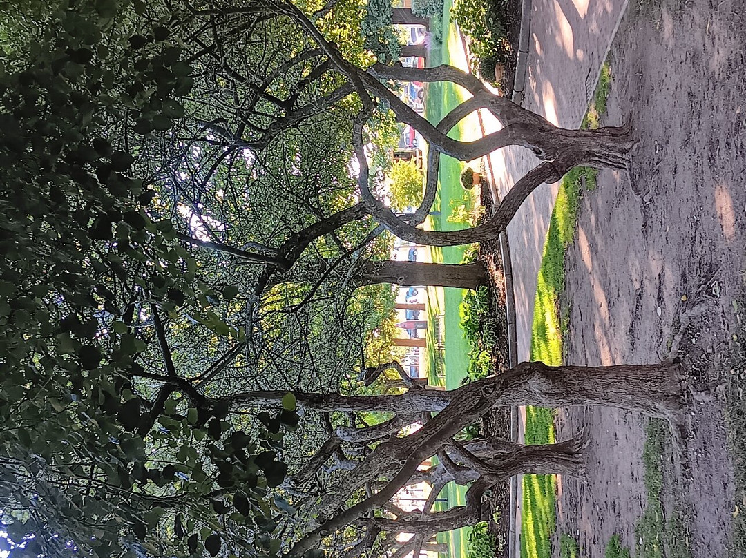 Waterfront Park景点图片