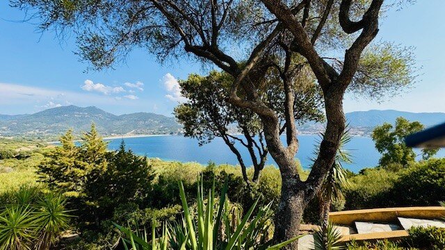 Villa Vetricella Corse Sud-官方