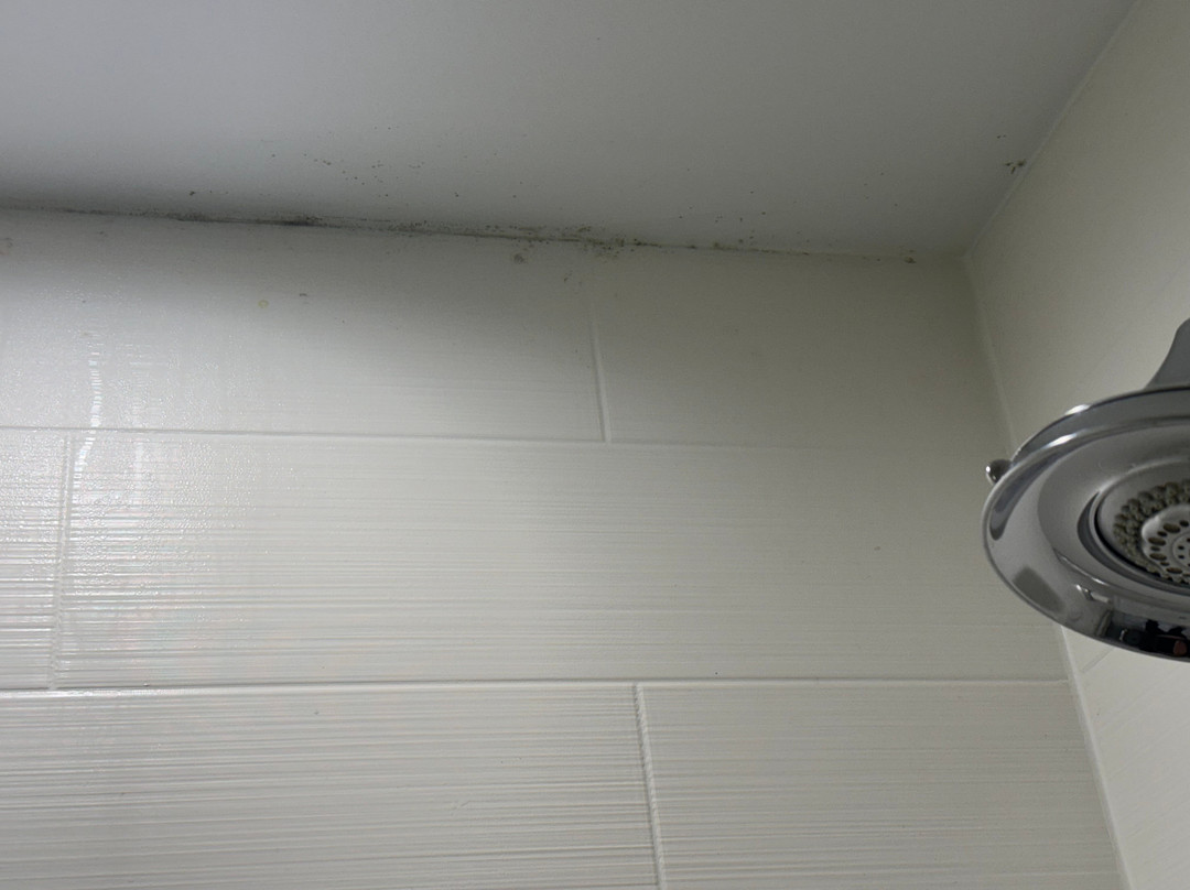 SpringHill Suites by Marriott Pittsburgh Latrobe主图