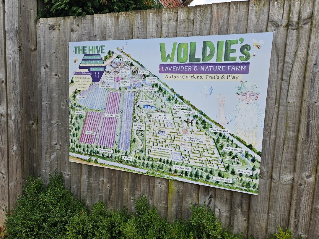 Wolds Way Lavender景点图片
