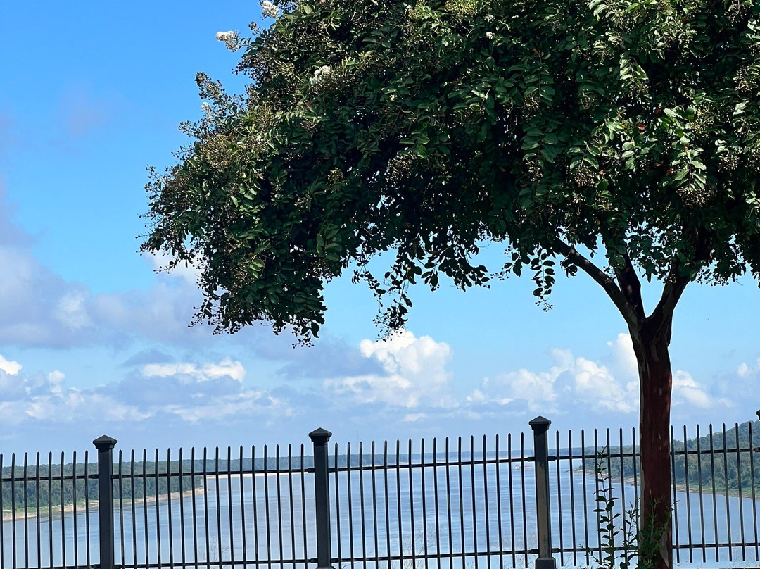 Open Air Tours Natchez景点图片
