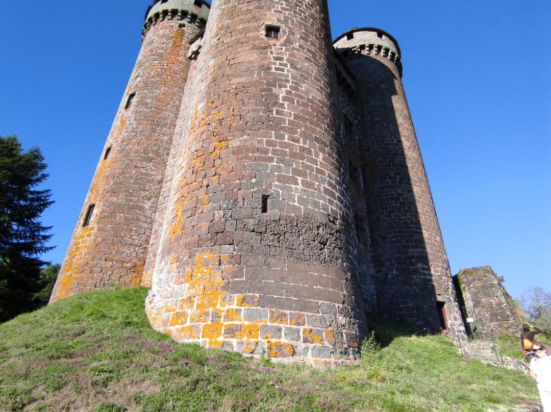 Chateau d'Anjony景点图片