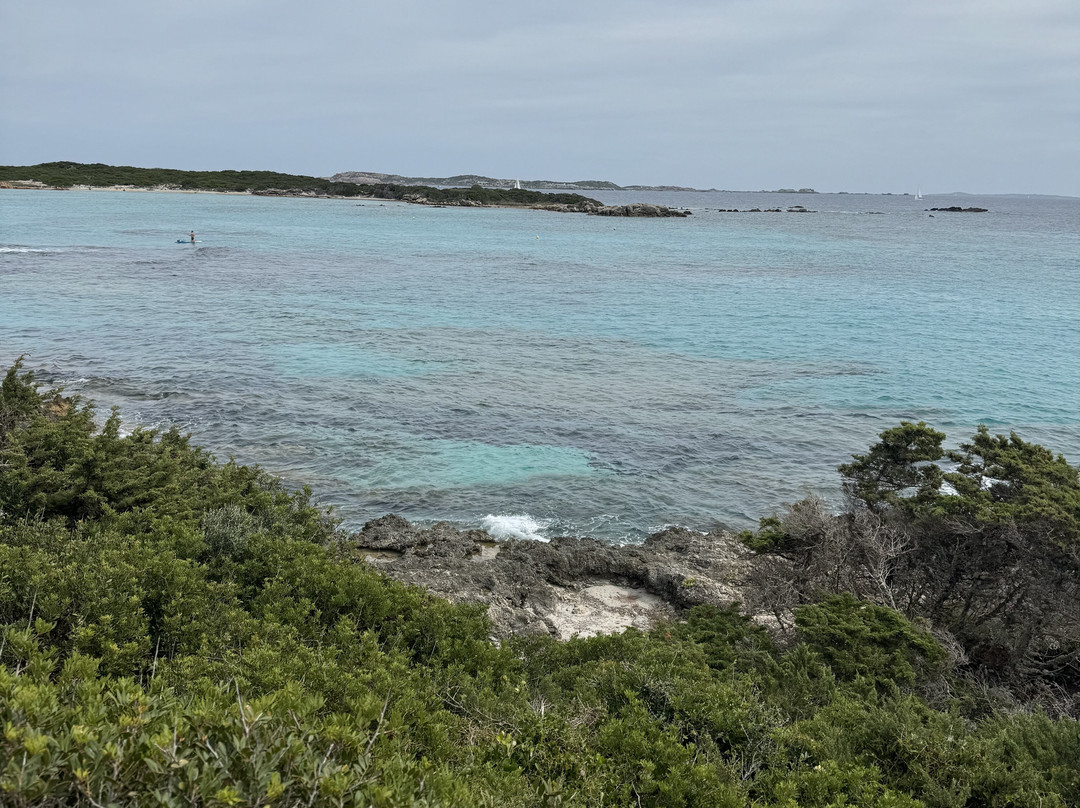 Plage du Petit Sperone景点图片