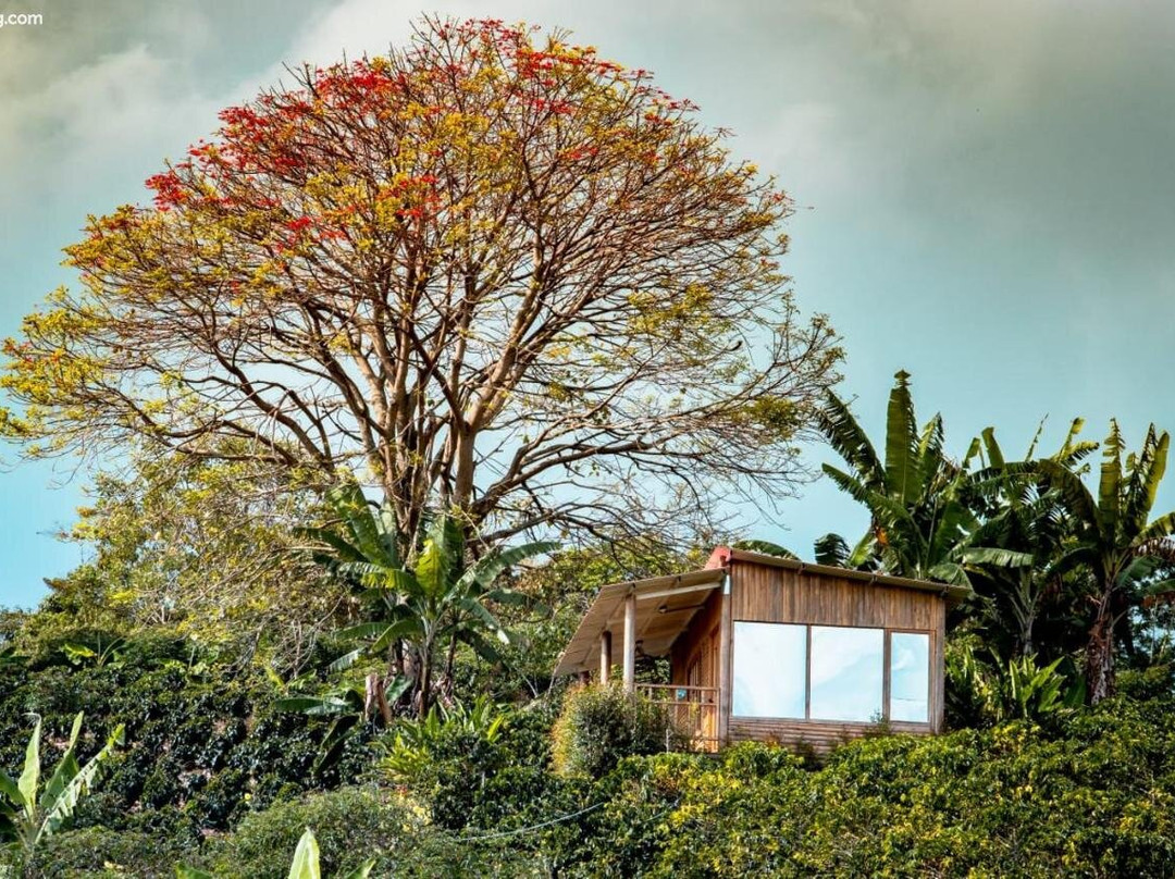 Finca Saabu