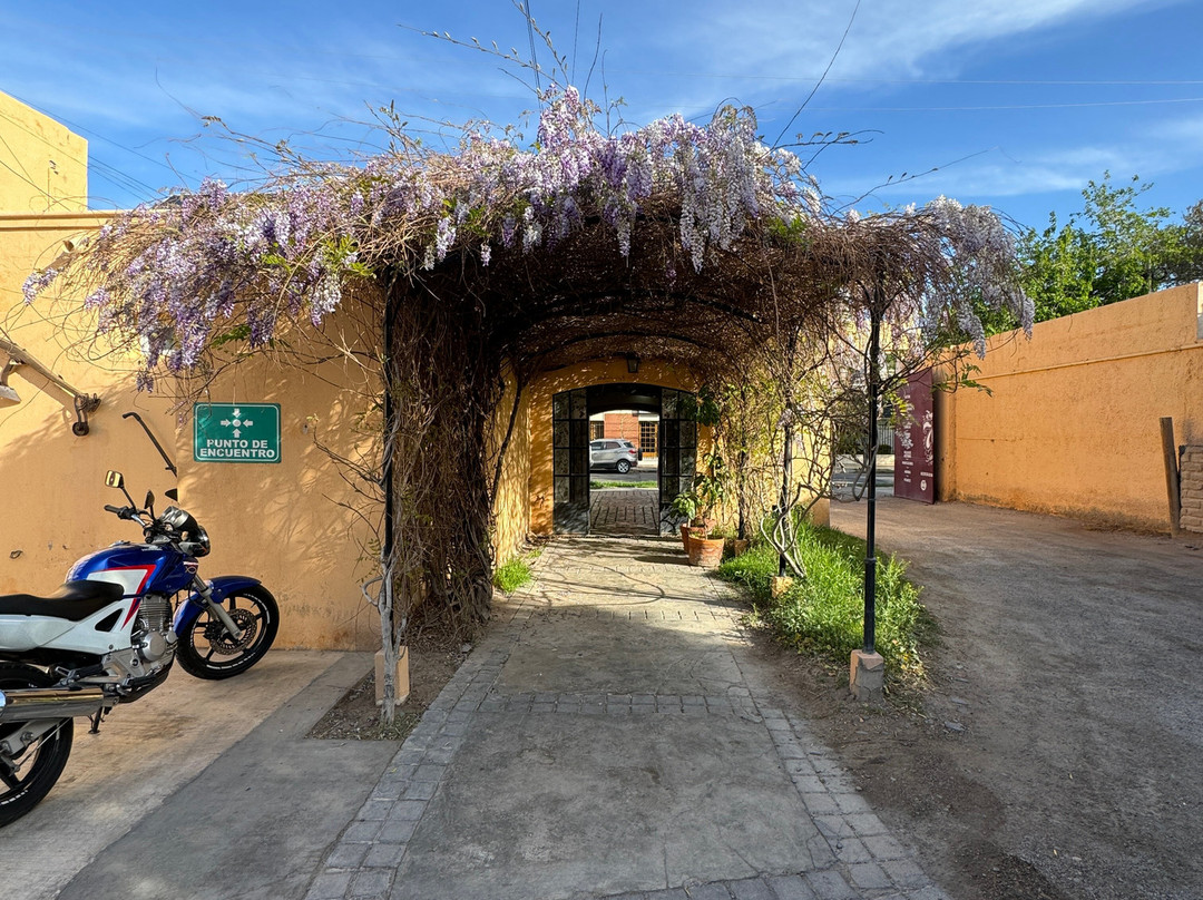Tupelí. Museo Don Julio景点图片