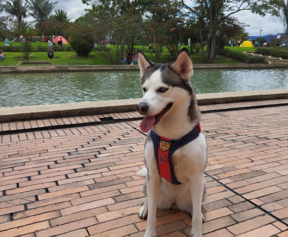 Biblioteca Virgilio-波哥大必去景点