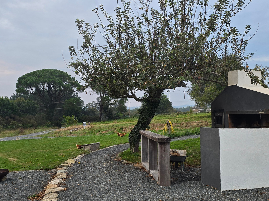 Rectoral De Boente主图