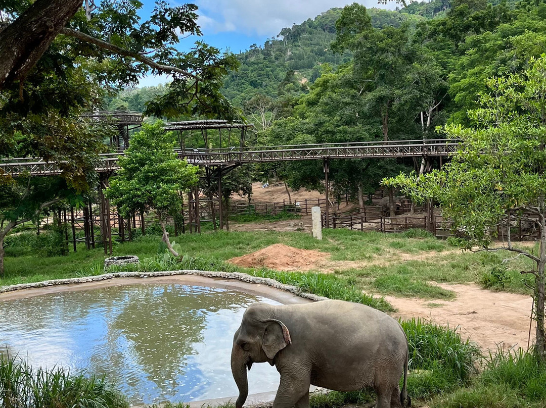Samui Elephant Kingdom-利巴诺伊必去景点