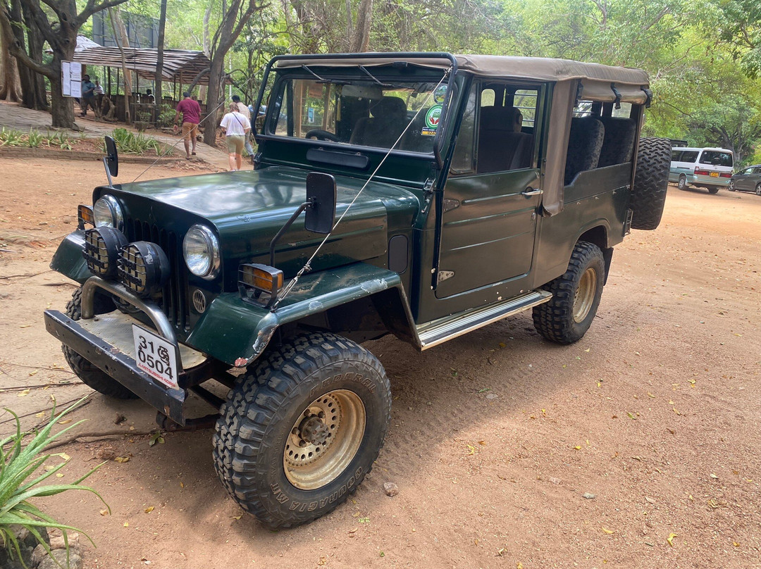 Heydon Travels & Tours (PVT) LTD-Pasikuda必去景点