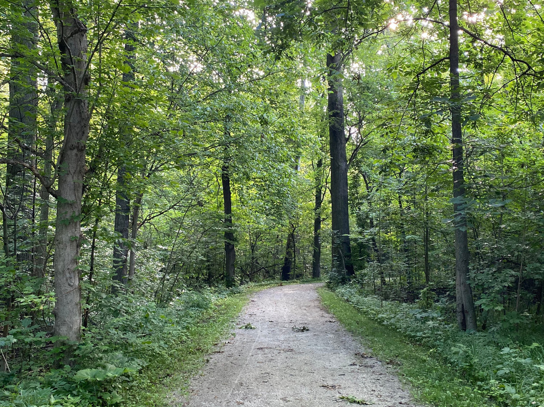 Pearson's Metropark-Oregon必去景点