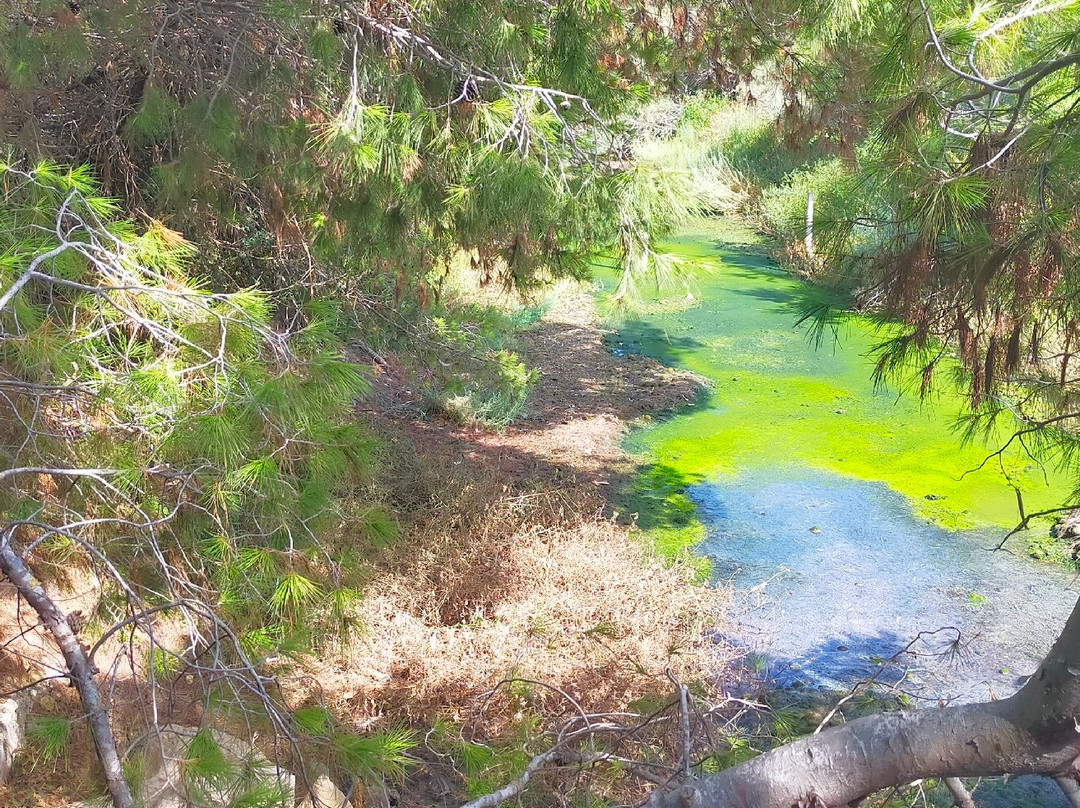 Simar Nature Reserve-Xemxija必去景点