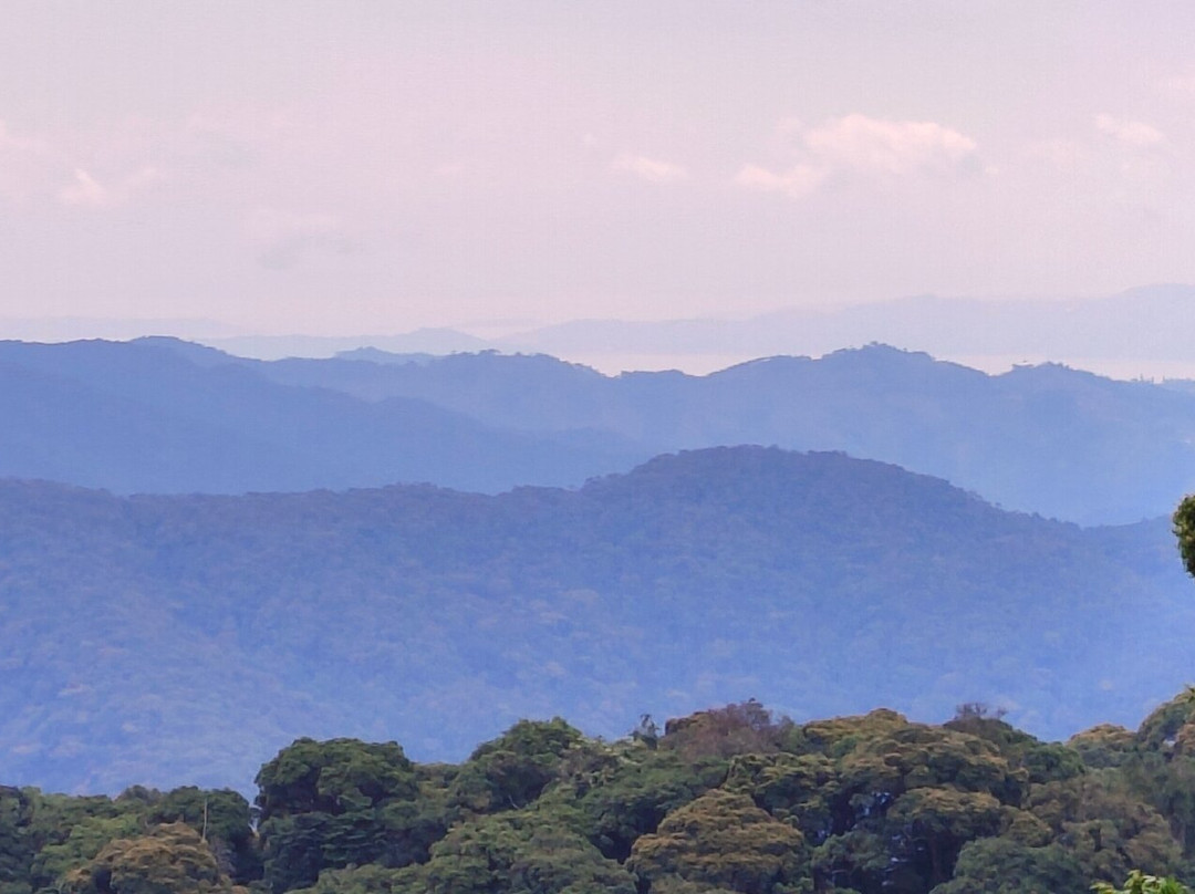 Nyungwe National Park - Rwanda景点图片