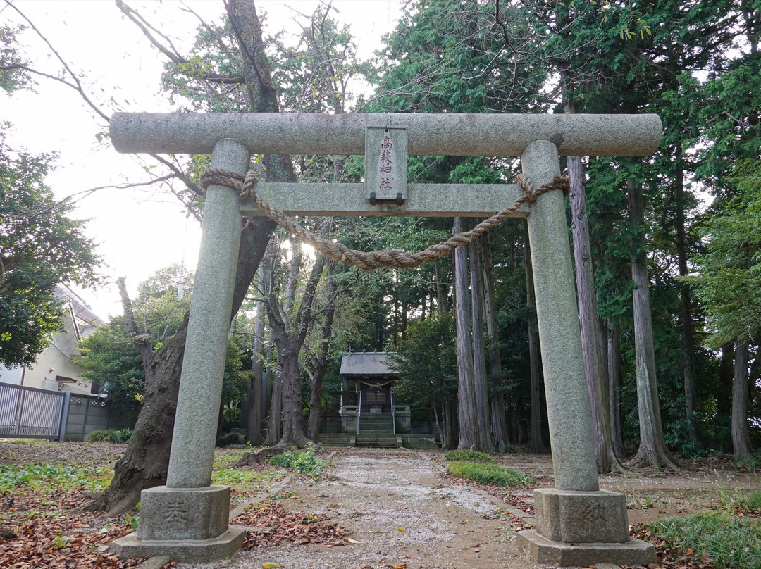 Takahagi Shrine景点图片