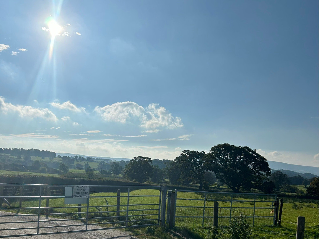 Calder Farm Campsite