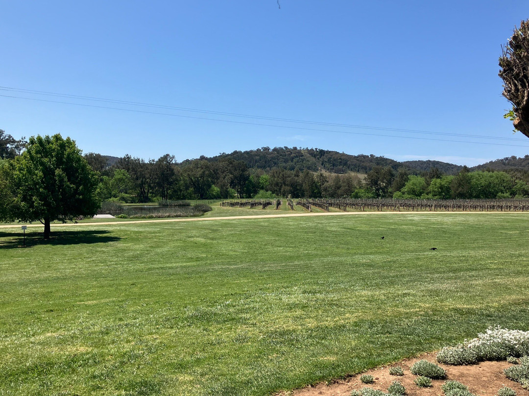 Bunnamagoo Wines-马奇必去景点