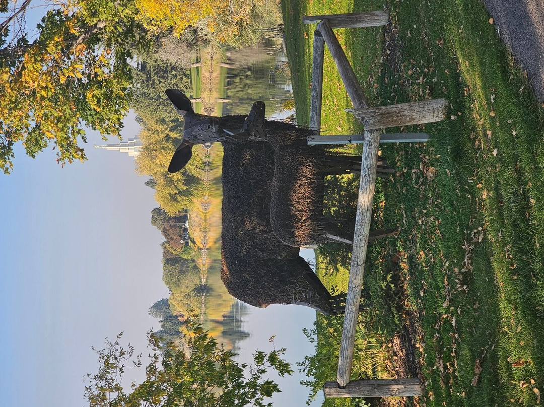 Residence Inn by Marriott Idaho Falls主图