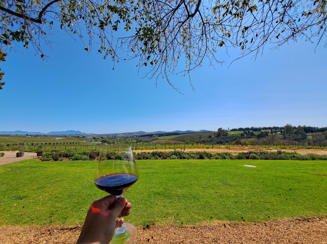 Alto Wine Estate-斯泰伦博斯必去景点