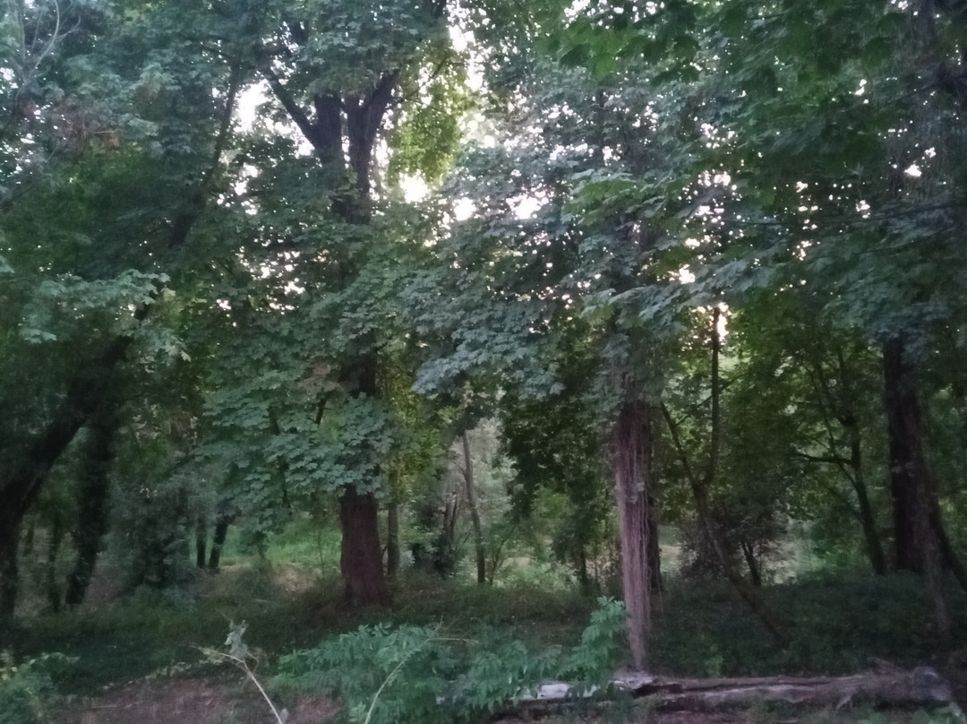 Wallace House Park-Keizer必去景点