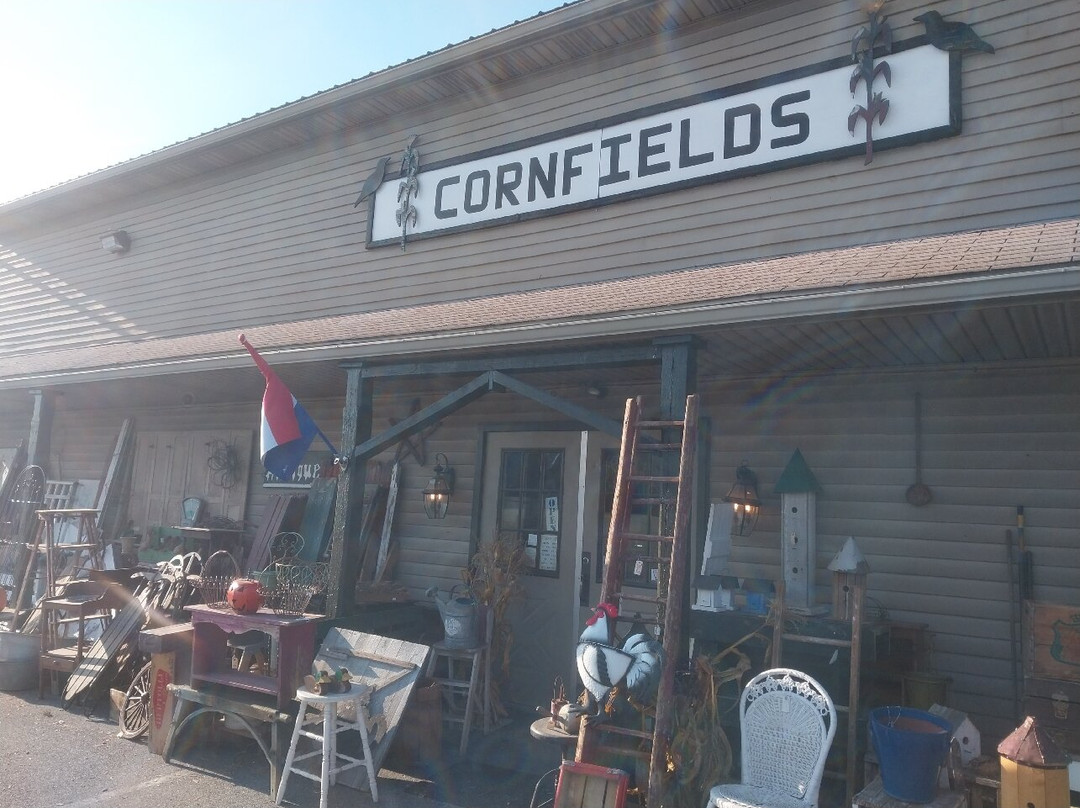 Cornfields景点图片