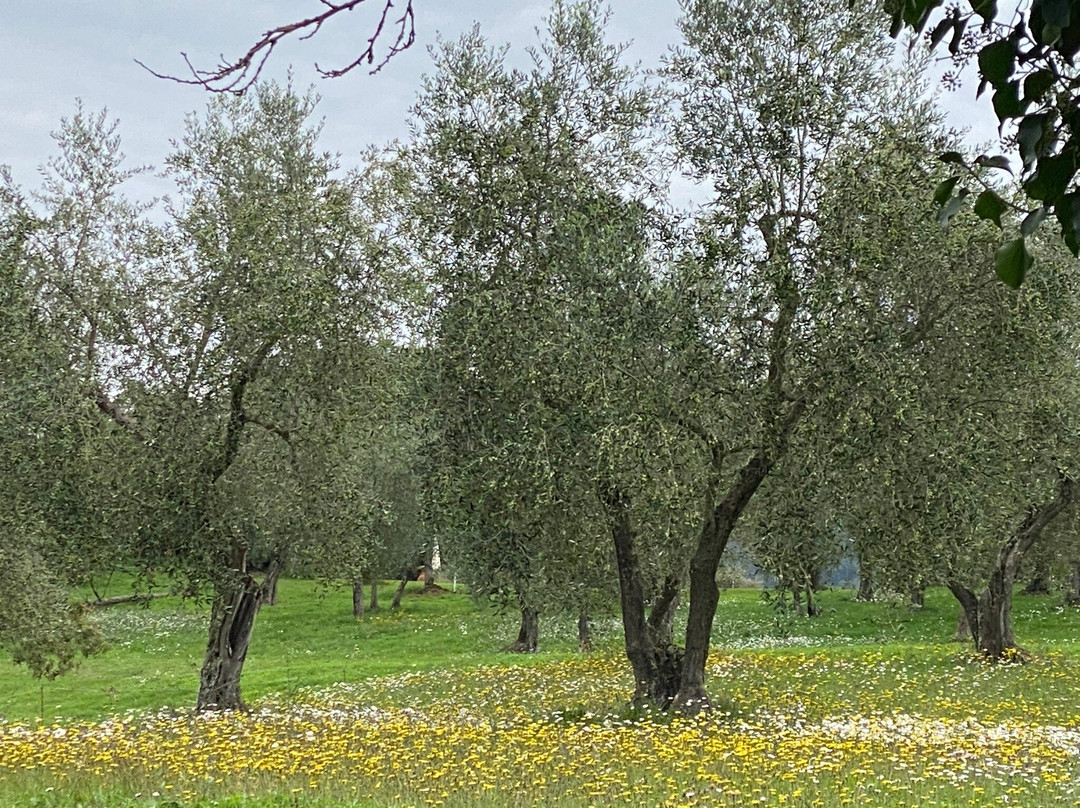 Montecatini Golf Club-蒙特卡蒂尼－泰尔梅必去景点