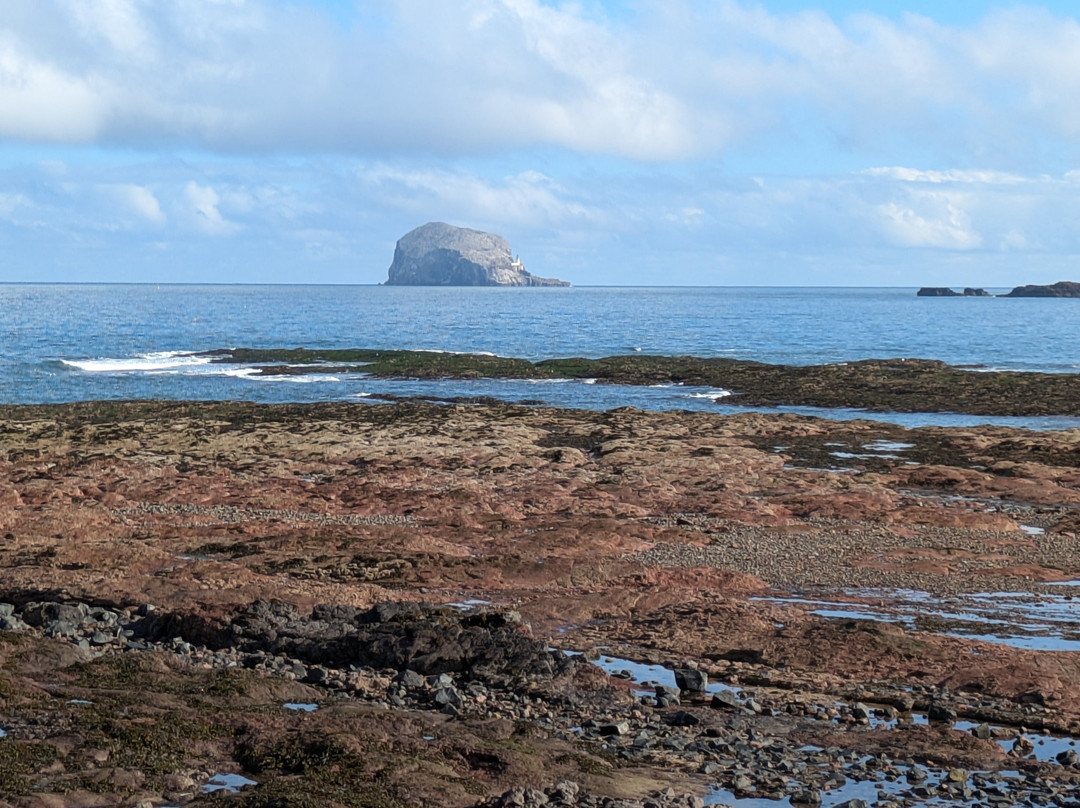 North Berwick Harbour-北柏威克必去景点