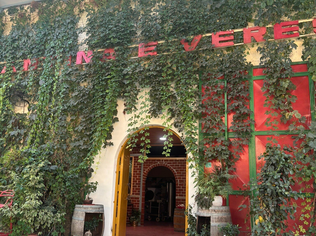 Kantina E Veres Isak-沙兰德必去景点