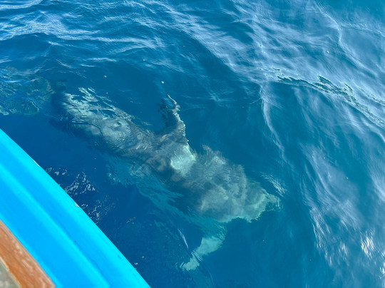 Captain Tziros Fishing Trips Corfu-Sidari必去景点