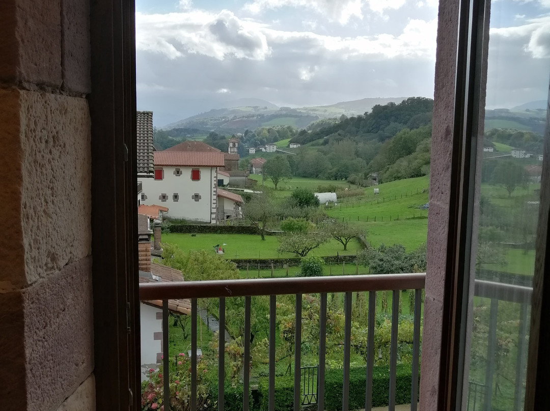 Hotel Palacio Borda主图