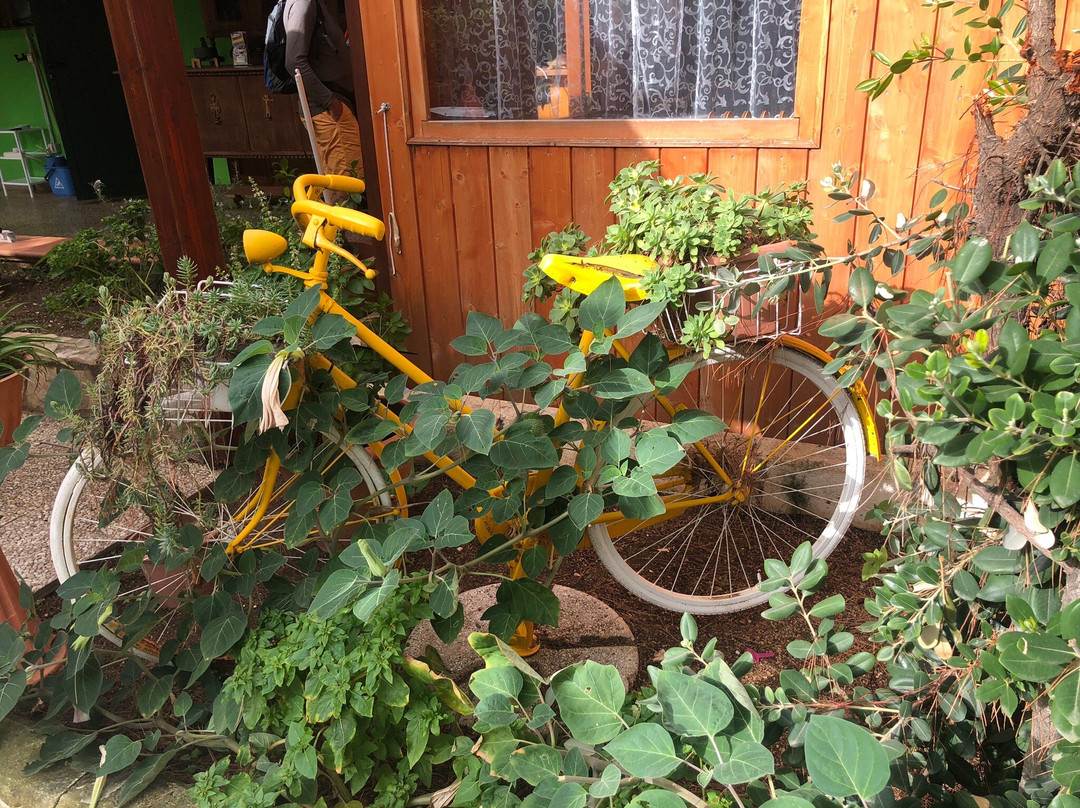 Centro Vacanze Villa Carla主图