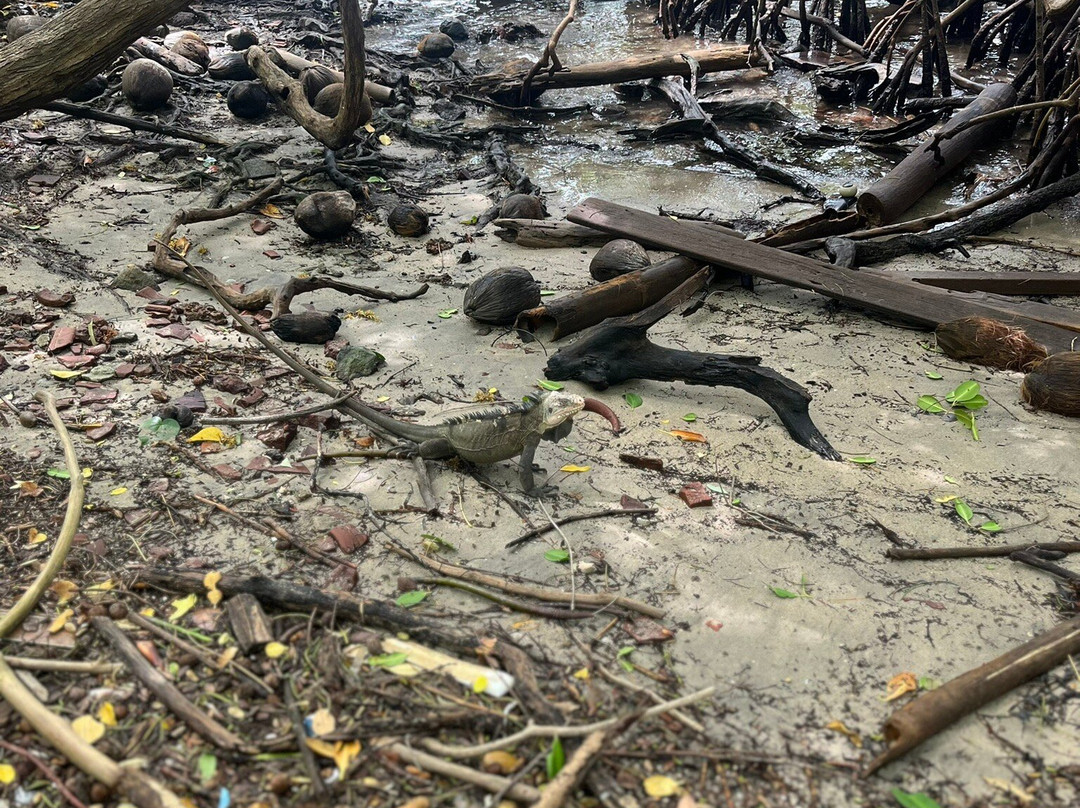 Oliv Express-Le Francois必去景点