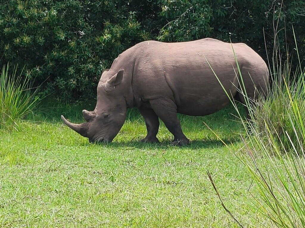 Jambo Eco Tours & Safaris-坎帕拉必去景点