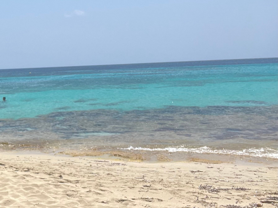 Platja de Migjorn景点图片