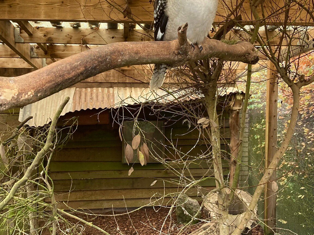 Calderglen Country Park景点图片