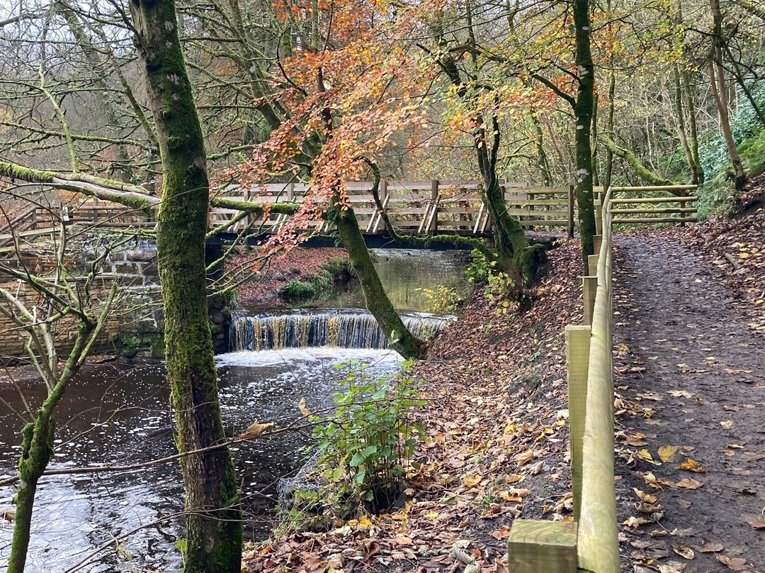 Calderglen Country Park景点图片